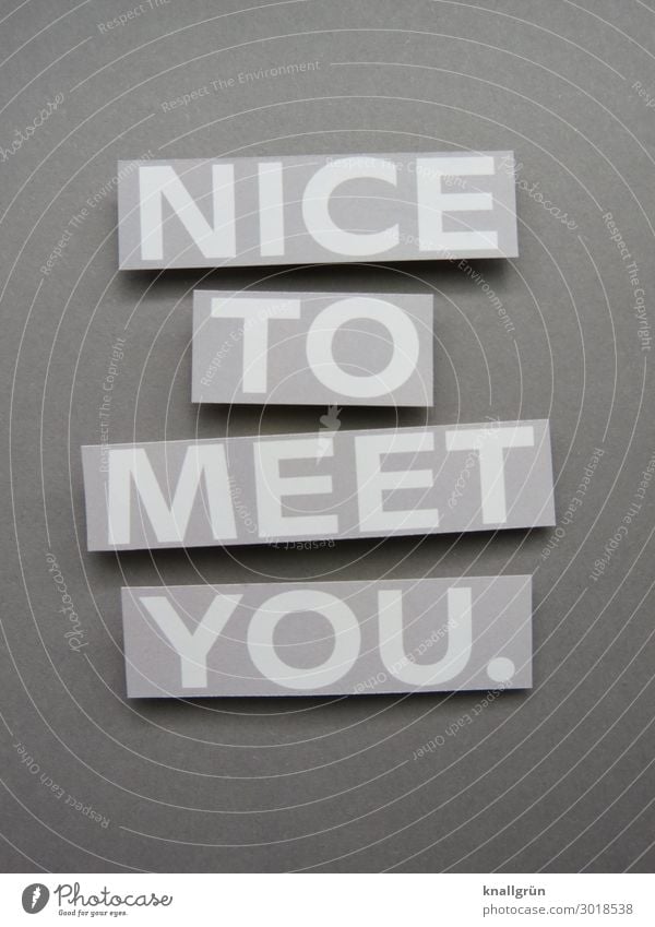 Nice to meet you. Joy Emotions Sincere politeness empty phrase Welcome Friendliness Human being Happiness communication Moody nice Communicate 2 Communication