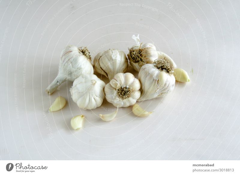 Builbs and Cloves of Garlic Food Herbs and spices Nutrition Healthy Eating Health care garlic Garlic bulb Spiced pepper herb Colour photo Studio shot Close-up