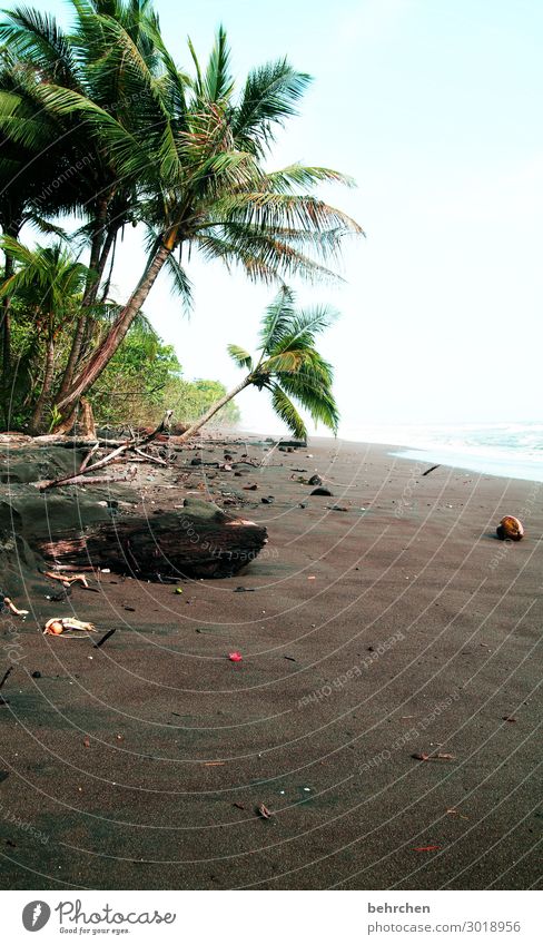 untouched Deserted Exterior shot Colour photo Wild Untouched Wanderlust Gorgeous pretty Caribbean tortuguero Costa Rica Fantastic Exceptional Ocean Beach coast