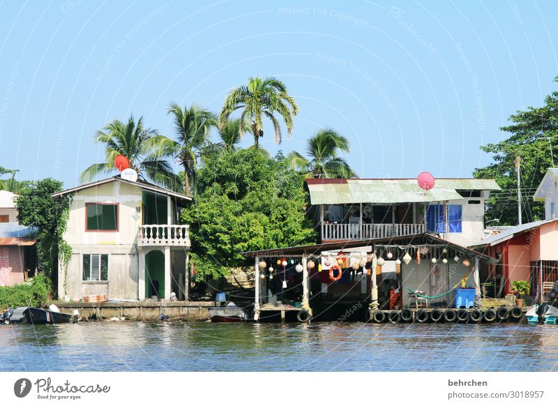 life on the river, in tortuguero Costa Rica Exterior shot Colour photo Deserted Nature Sunlight Vacation & Travel Adventure Trip Tourism Freedom Far-off places