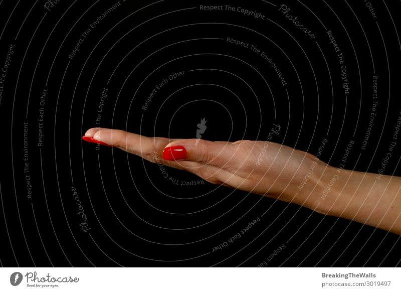 Woman hand palm presenting something over black Human being Feminine Young woman Youth (Young adults) Adults Hand Fingers 1 Red Black White Present Hold Gesture