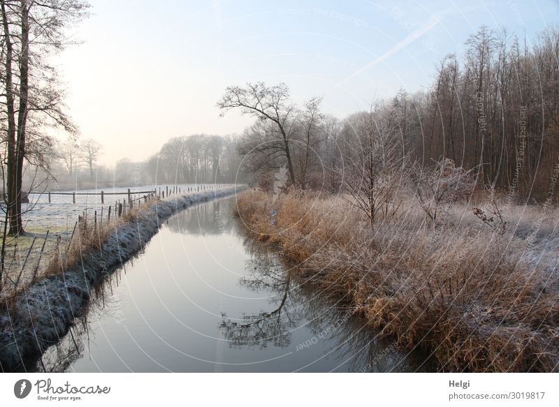 frosty winter landscape in the morning with river, trees, grasses and fence Environment Nature Landscape Plant Water Sky Winter Ice Frost Tree Grass Bushes