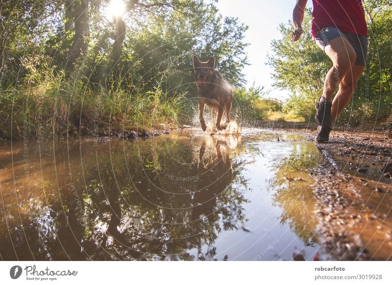 running across Joy Happy Leisure and hobbies Summer Sports Jogging Man Adults Nature Landscape Animal Sky Grass Pet Dog Fitness Athletic Together Green