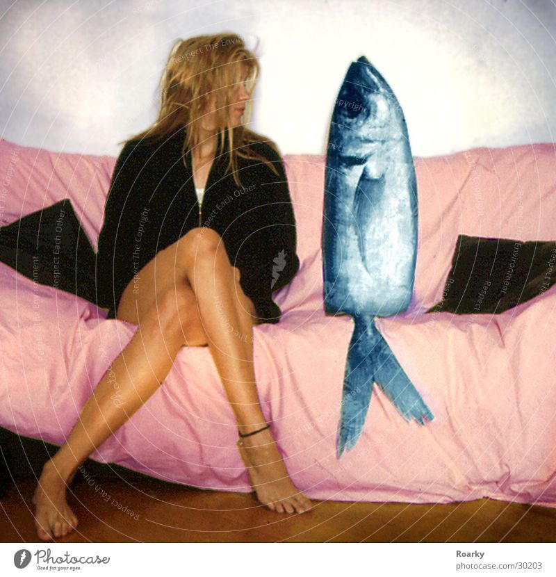 Date with fish Woman Sofa Fish Partner Couple Legs In pairs
