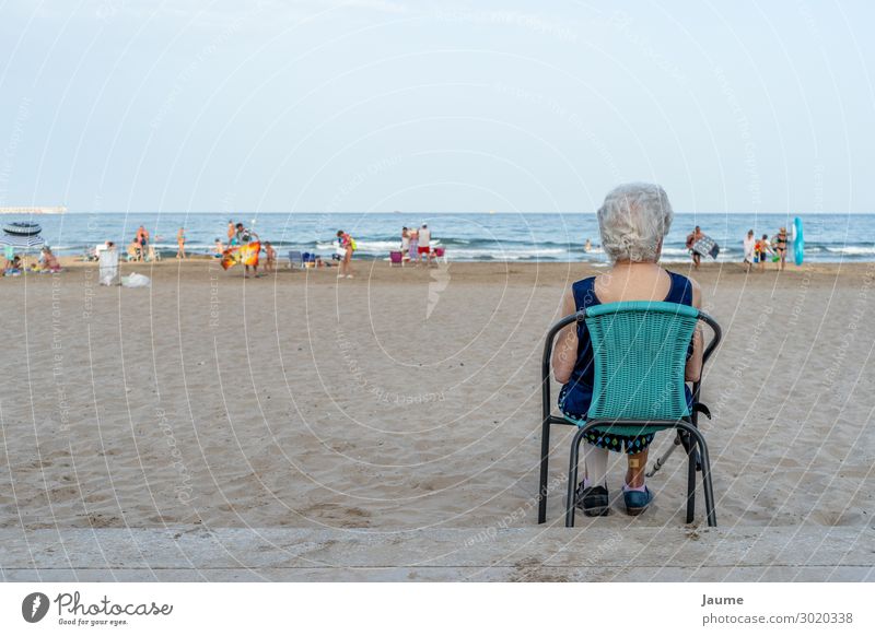 Senior lady sitting on a chair on the beach, looking at the sea Human being Feminine Female senior Woman Grandmother Senior citizen 1 60 years and older Summer