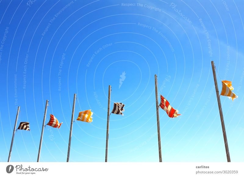 Flags in the wind I Lanzarote Canaries Wind Flagpole Sky Blue Gale Tourism Vacation & Travel Travel photography
