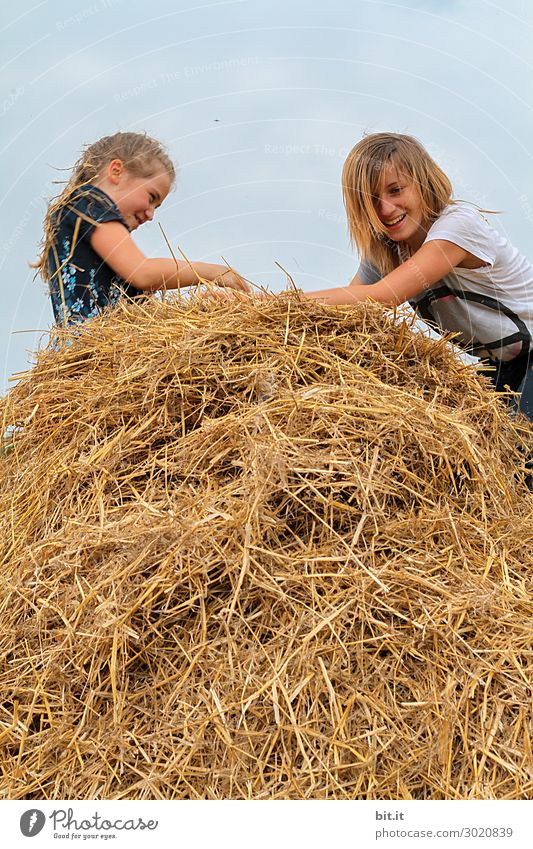 Lost the needle in the haystack... Playing Human being Feminine Child girl Brothers and sisters Sister Family & Relations Infancy Environment Nature Meadow