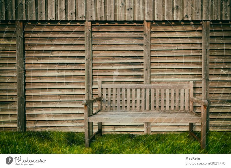 Garden bench on a wooden fence Furniture Meadow Brown Wooden bench Lawn Wooden fence Deserted Exterior shot Bench Colour photo Copy Space top Day Shadow