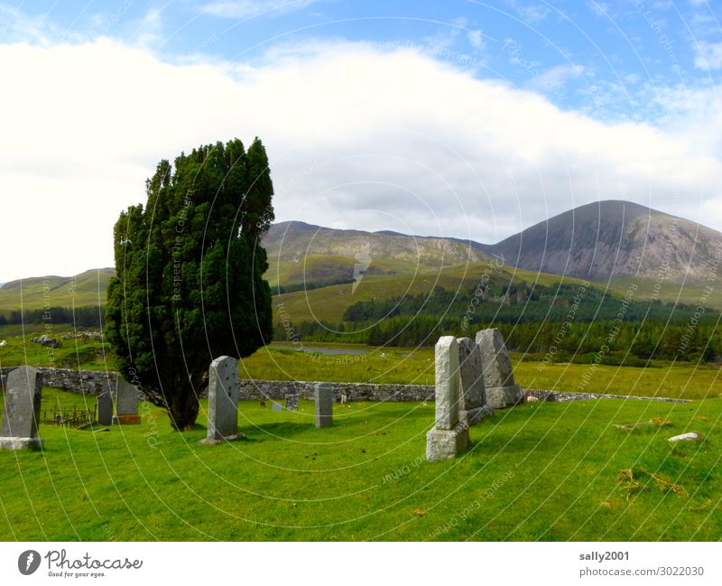 eternal rest... Tree Grass Mountain Highlands Scotland Old Loneliness Eternity Grief Past Transience Cemetery Tombstone Wall (barrier) Calm Colour photo