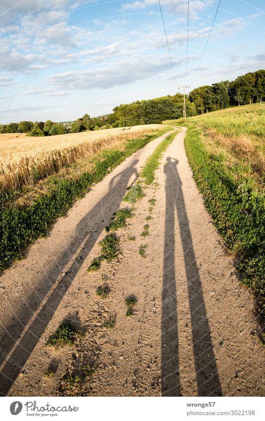 Long shadows of a couple in the low sun on a field path to the lime tree quarry near Schwaan Landscape Nature Clouds Sky Summer Colour photo Meadow Grass Green