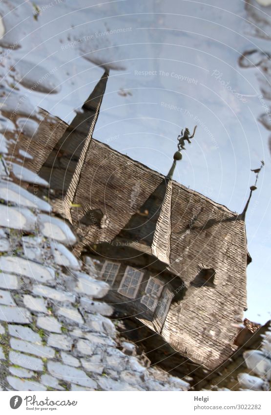 Reflection of a historical building in a puddle on the cobblestone pavement Town Tower Manmade structures Building Architecture Window Roof Street Cobblestones