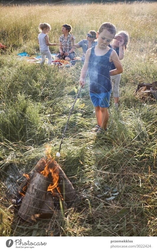 Little boy roasting marshmallow over a campfire. Family spending time together on a meadow, close to nature. Parents and children sitting on a blanket on grass. Candid people, real moments, authentic situations