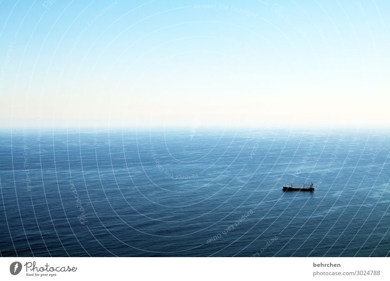 endless Sunlight Contrast Light Day Colour photo Bird's-eye view Waves Surface of water Economy Logistics deal Navigation Container ship Airplane Flying Blue