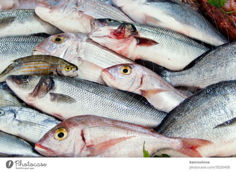 Free photo: fish market, fresh, market, fishing, food, fish, raw