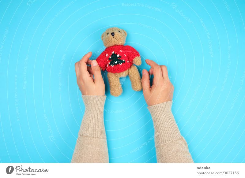 two female hands hold a small toy teddy bear Joy Body Child Infancy Hand Animal Toys Doll Teddy bear Playing Small Funny Cute Retro Soft Blue Brown Green Red