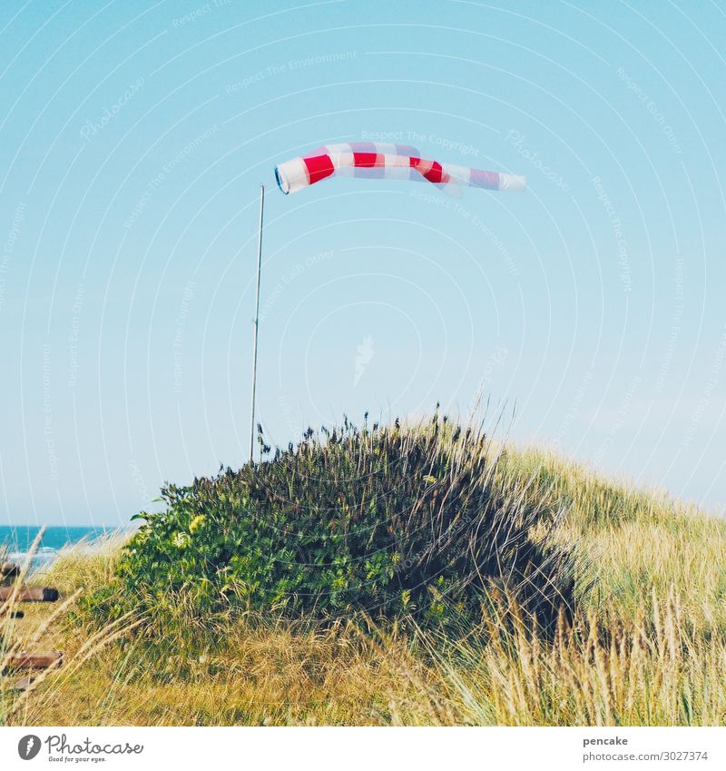 double airy Nature Landscape Elements Sand Sky Cloudless sky Sunlight Summer Beautiful weather Coast North Sea Sign Movement Dance Airy Wind Windsock