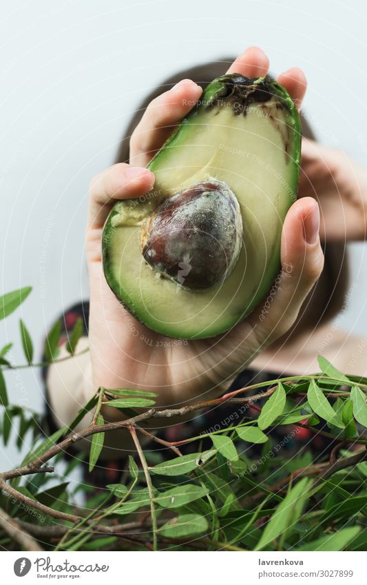 woman's hand holding half of avocado Mature Raw Ingredients Leaf Close-up Organic Fresh Hand Greens Branch Avocado Diet Fat Woman Food Healthy Eating