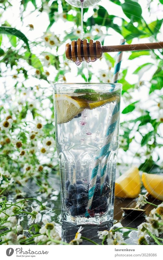 summer blueberry lemonade in a glass Beverage Blueberry Citrus fruits Cocktail Cold Cool (slang) Daisy Family Drinking Flower Fresh Fruit Green High-key Juice