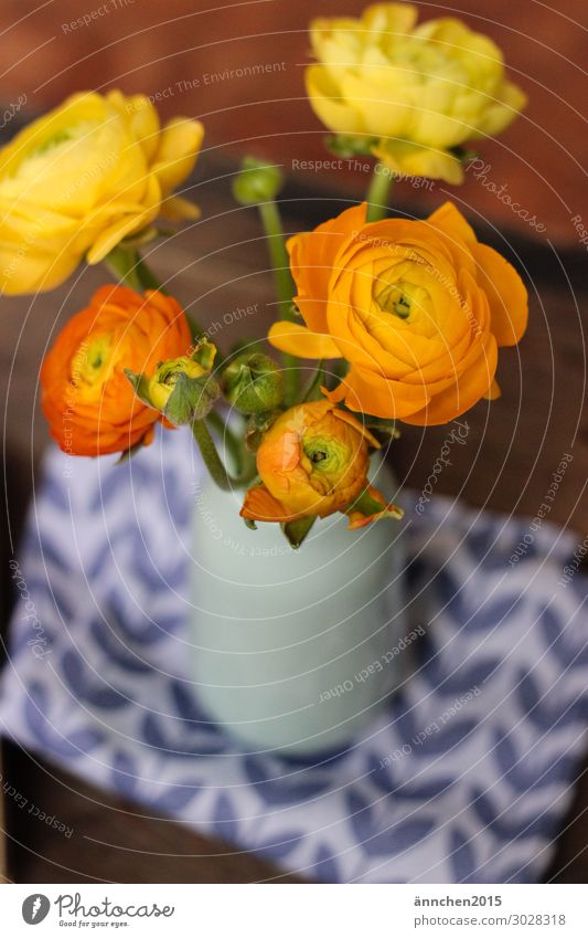 Hello Spring Celandine Flower Easter Anticipation Blossom Bouquet Vase Interior shot Stalk Yellow Orange