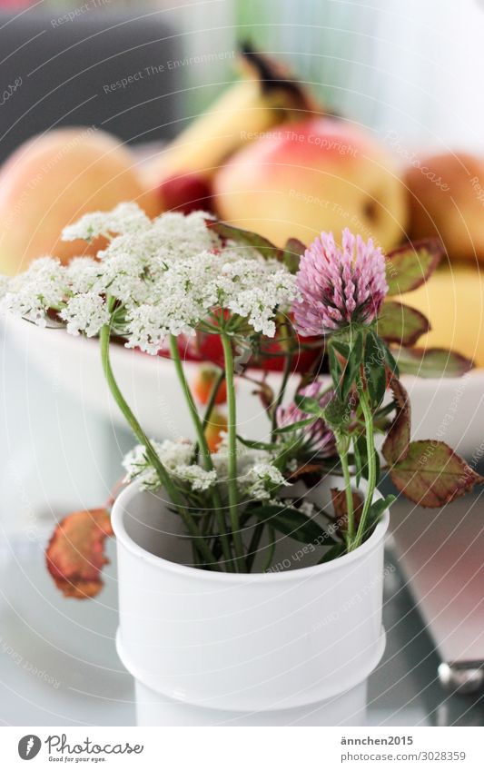 late summer Summer Autumn Pick Flower Plant Nature Forest Meadow Fruit Bouquet Interior shot White Pink Green Vase