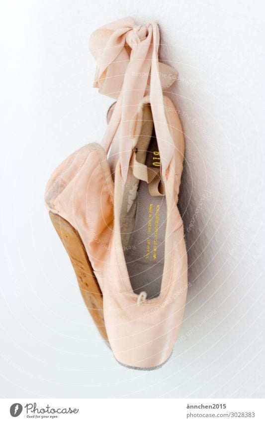 elegant ballerina shoes