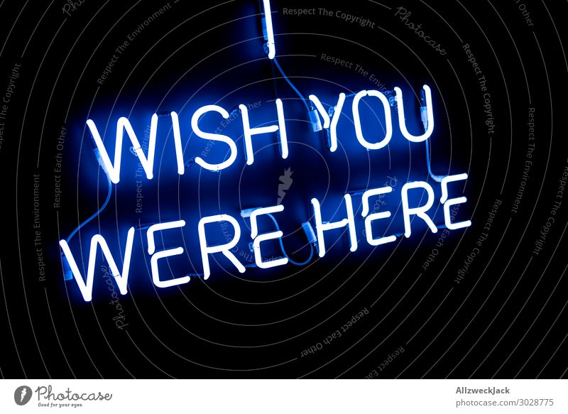 wish you were here Neon light Characters Neon sign Letters (alphabet) Card Light Lighting Illuminate Lamp Information Miss Loneliness Homesickness Black Desire