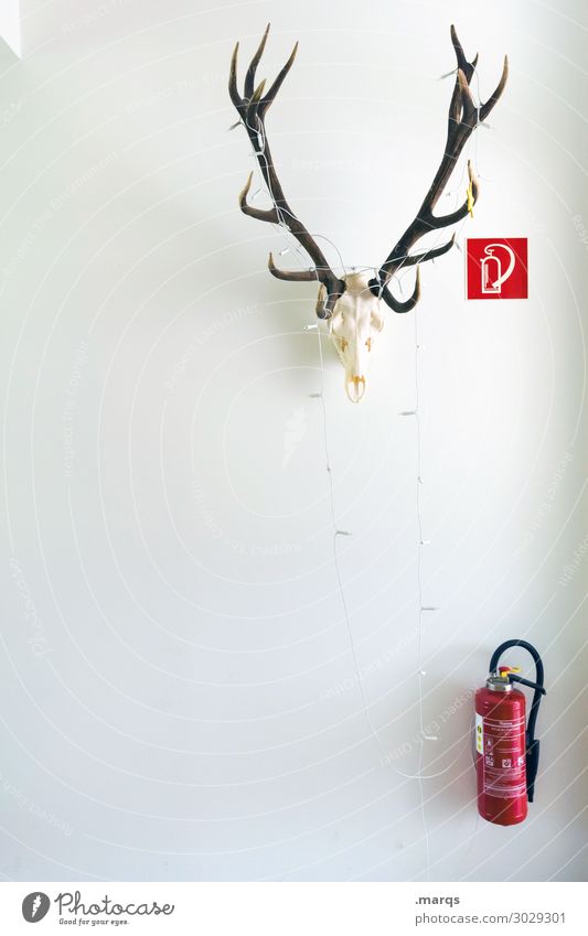 Back to the roots Wall (barrier) Wall (building) Extinguisher Antlers Sign Safety Fire prevention Decoration Colour photo Interior shot Copy Space left