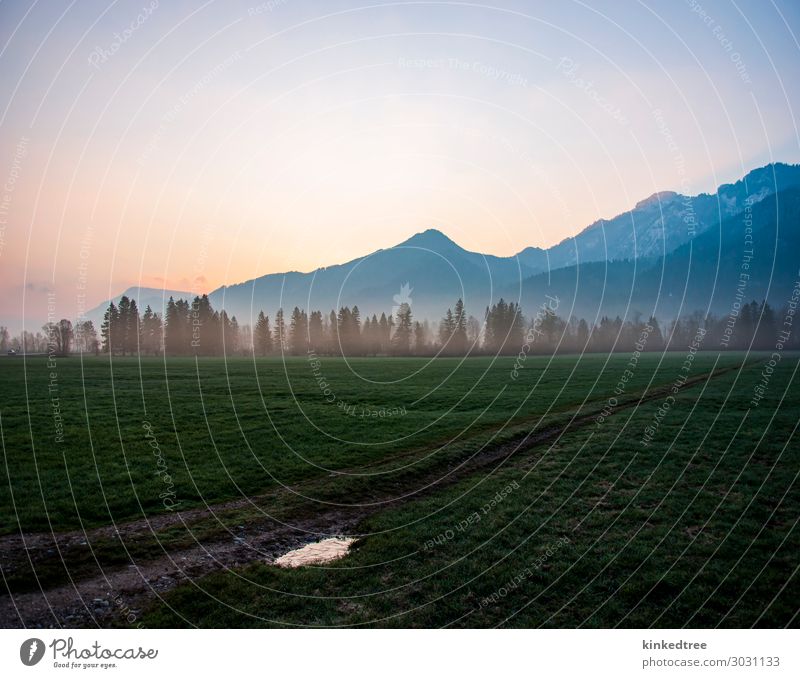 Mountain dawn, mist in trees, field, ice in path puddle Vacation & Travel Tourism Trip Adventure Far-off places Snow Nature Landscape Sky Fog Tree Grass Meadow