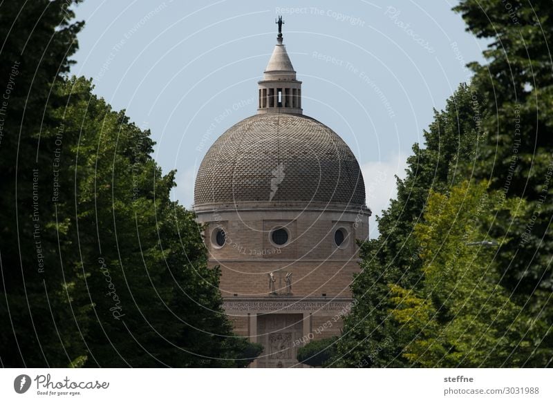 Chiesa 3 Church Religion and faith Italy Rome World exposition Modern architecture Domed roof Christianity Catholicism Avenue Tree Harmonious Basilica