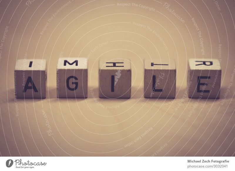 wooden cubes showing the word agile on a table Design Success Work and employment Business Meeting Computer Software Technology Wood Idea Quality Teamwork