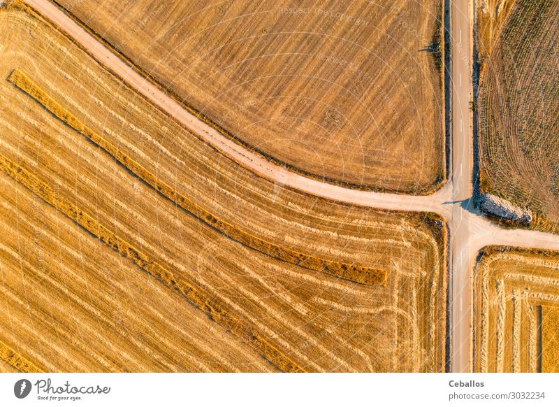 Cereal fields in Castilla y Leon Spain bird´s eye view Bread Summer Sun Nature Landscape Plant Sky Clouds Horizon Meadow Aircraft Growth Fresh Bright Yellow