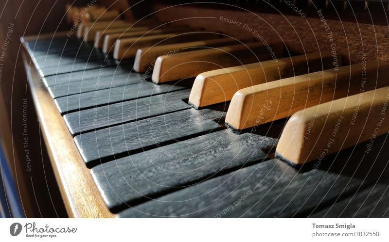 Old wooden musical instrument keyboard closeup, pipe organ macro Music Art Concert Choir Musician Church Dome Wood Retro Black White Inspiration Perspective