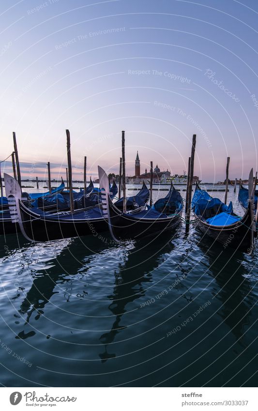 Around the World: Venice Nature Cloudless sky Sunrise Sunset Beautiful weather Esthetic Exceptional Famousness Gondola (Boat) St. Marks Square Water