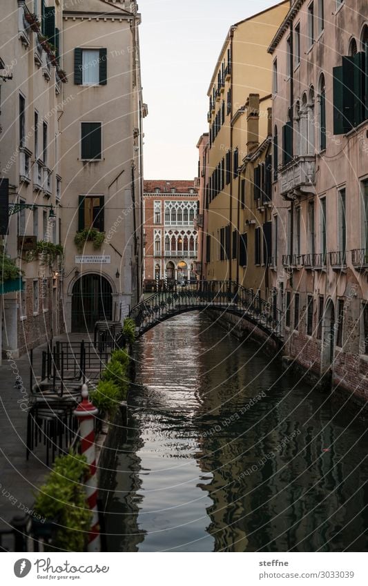 canal Old town Stairs Tourist Attraction Exceptional Channel Bridge Venice Italy Tourism Vacation & Travel Colour photo Exterior shot Deserted Copy Space top