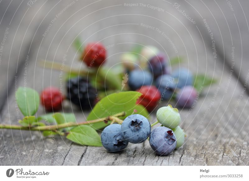 freshly harvested ripe blueberries and blackberries lie on an old wooden table Food Fruit Blueberry Blackberry Nutrition Organic produce Vegetarian diet Plant