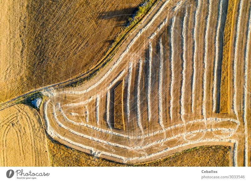 Cereal fields in Castilla y Leon Spain bird´s eye view Bread Summer Sun Nature Landscape Plant Sky Clouds Horizon Agricultural crop Meadow Field Aircraft Growth