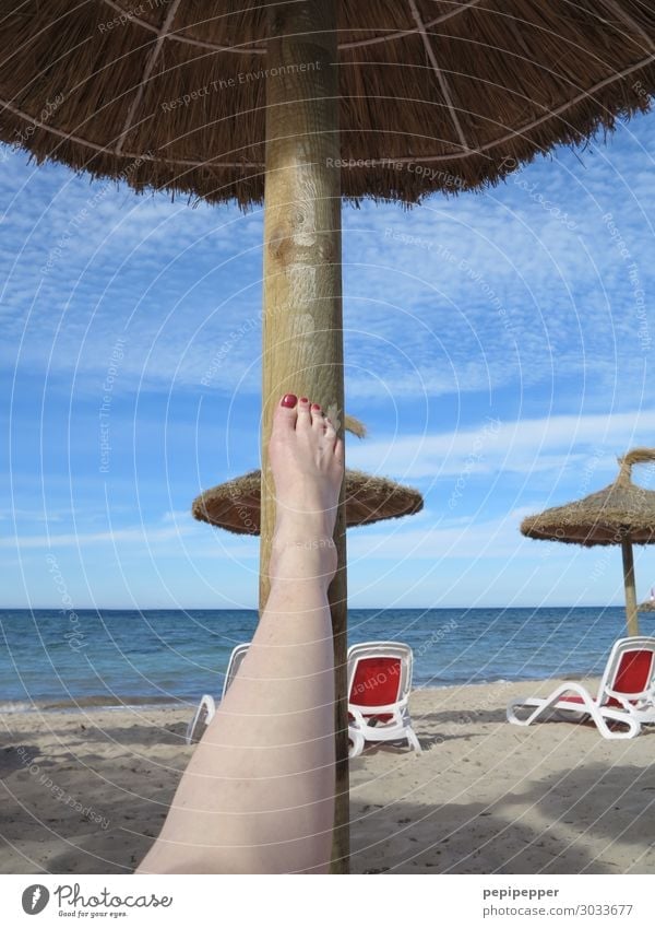 leg Relaxation Leisure and hobbies Vacation & Travel Tourism Far-off places Summer Summer vacation Beach Ocean Island Waves Feminine Woman Adults Skin Legs Feet