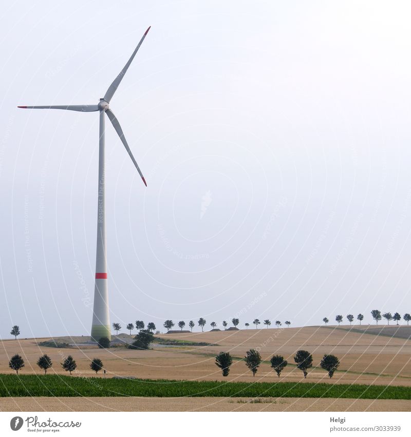 large wind turbine stands in a landscape with fields and seemingly tiny trees Technology Energy industry Renewable energy Wind energy plant Environment Nature