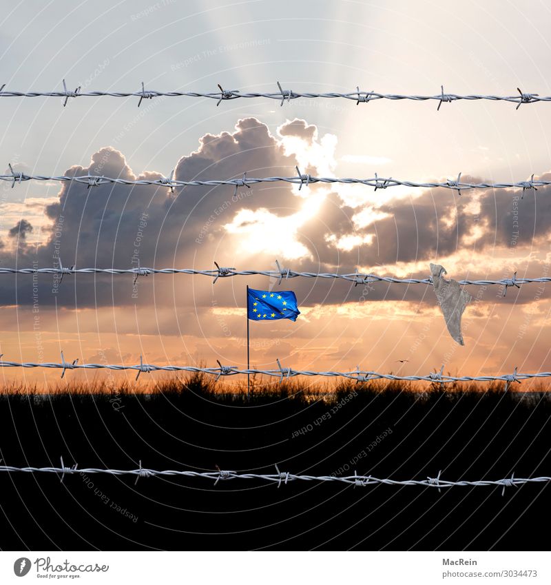 Border fence towards EU Sky Night sky Horizon Sunrise Sunset Beautiful weather Sign Authentic Threat Dark Expatriate Emigrant Foreigner Africa North Africa