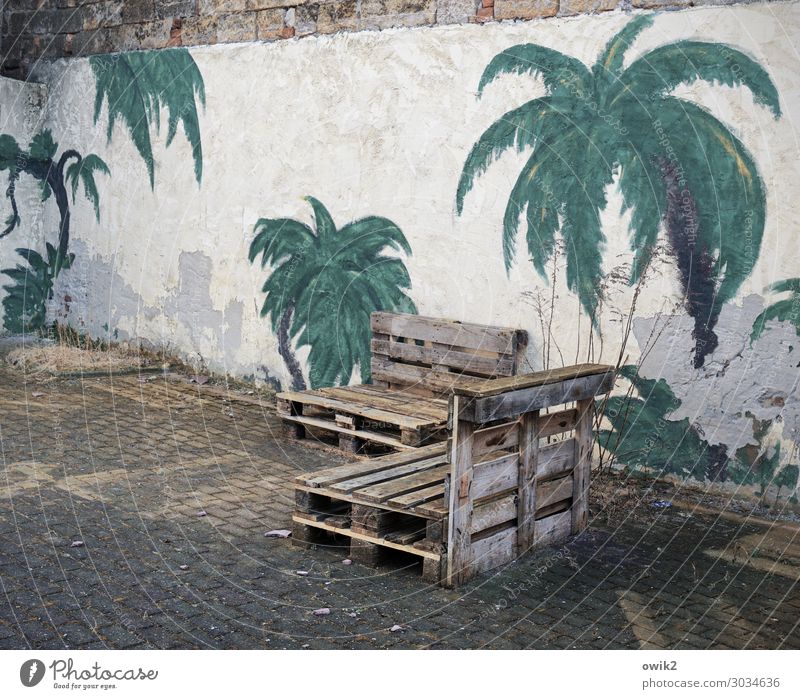 stopgap Art Work of art Painting and drawing (object) torgau Saxony Germany Wall (barrier) Wall (building) Palett Mural painting Palm tree Palm frond Stone