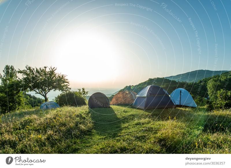 Many tents in the mountain. Sunshine morning in the forest. Lifestyle Joy Relaxation Leisure and hobbies Vacation & Travel Tourism Adventure Camping Summer