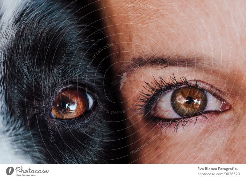 close up view woman and dog eyes together.Love for animals Lifestyle Joy Happy Beautiful Relaxation Leisure and hobbies Playing Vacation & Travel Summer Woman