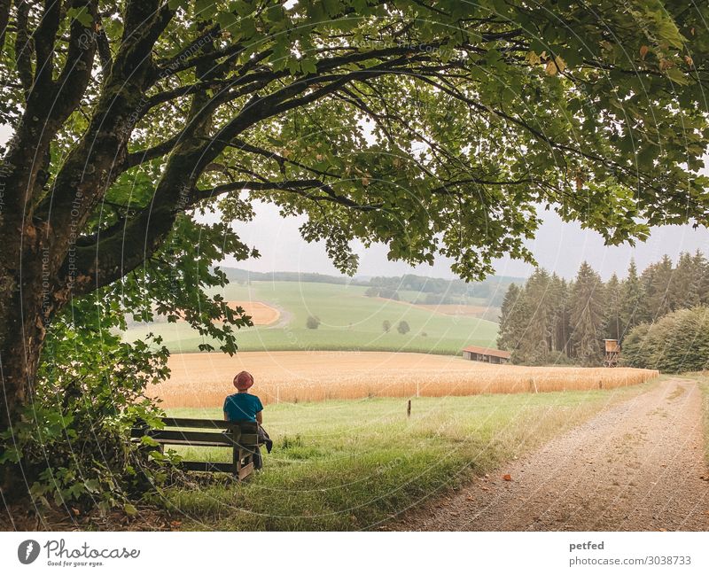 rest Relaxation Calm Summer Hiking Woman Adults Nature Landscape Horizon Tree Meadow Field Forest Observe Think Looking Sit Dream Wait Happy Infinity Natural