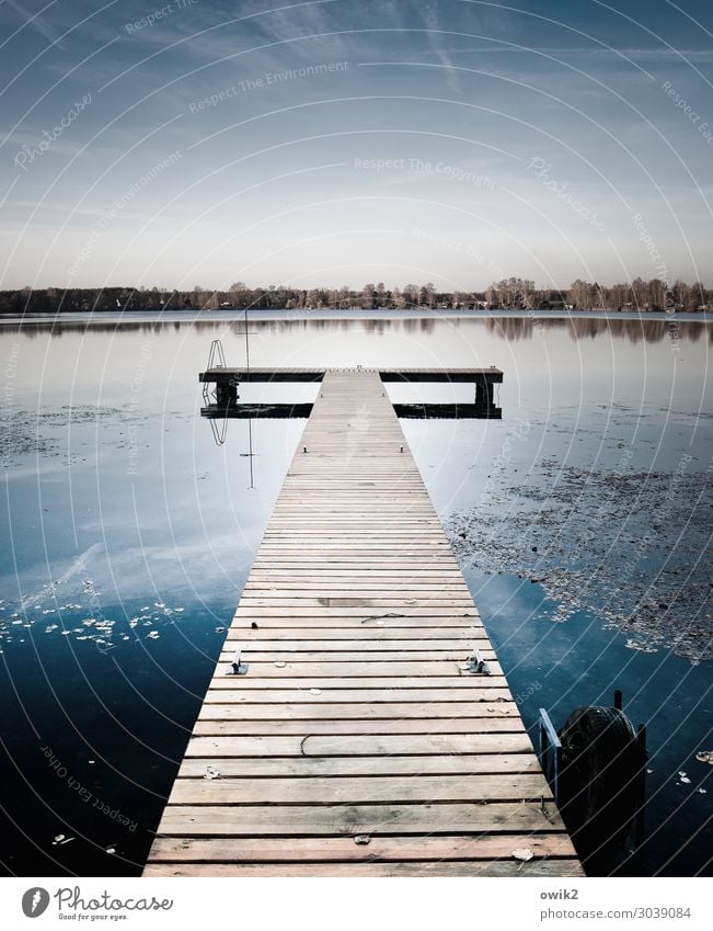 runway Environment Nature Landscape Water Cloudless sky Horizon Beautiful weather Aquatic plant Forest Lakeside Olba Lausitz forest Saxony Germany Footbridge