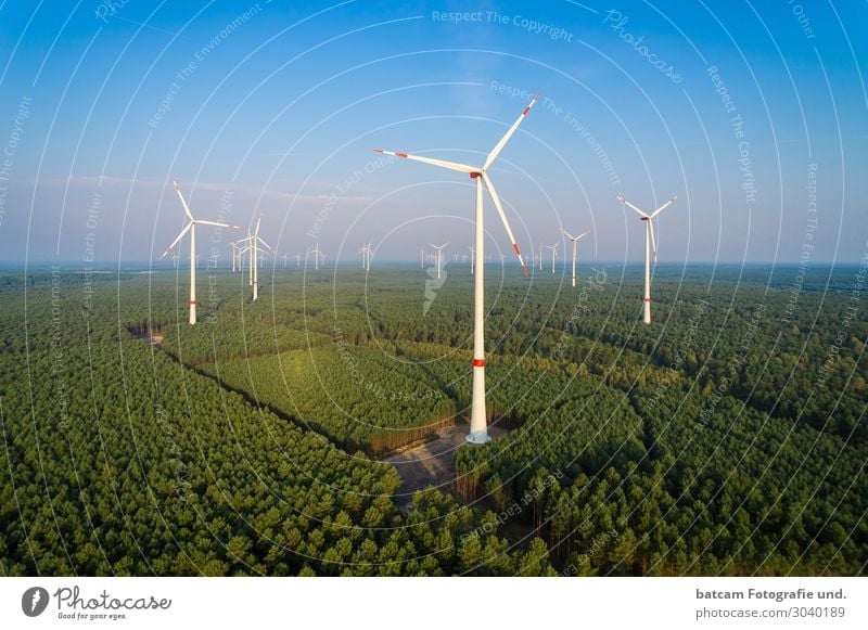Aerial view wind farm in the forest Technology Energy industry Renewable energy Wind energy plant Nature Landscape Cloudless sky Sun Summer Climate change Tree