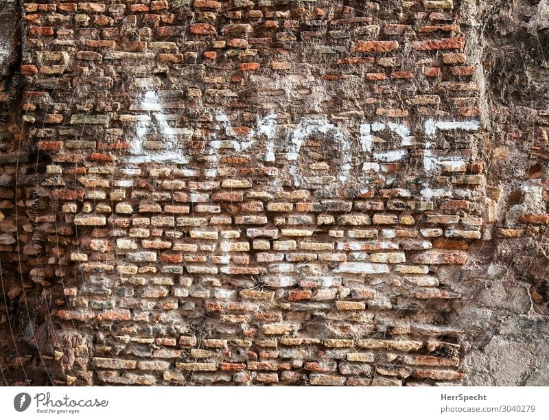 Historic graffito Wall (barrier) Wall (building) Characters Old Cool (slang) Positive Town Red White Love Infatuation Romance Desire Brick Brick wall amore