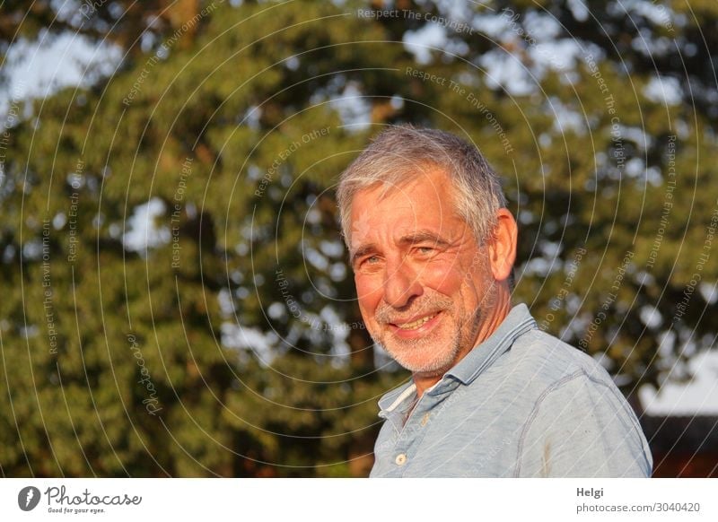 Portrait of a smiling senior with grey hair and grey three-day beard in the evening sun Human being Masculine Man Adults Male senior Senior citizen 1