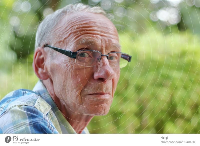 Close-up of a male senior who looks sceptically into the camera Human being Masculine Man Adults Male senior Senior citizen Head Hair and hairstyles Face 1