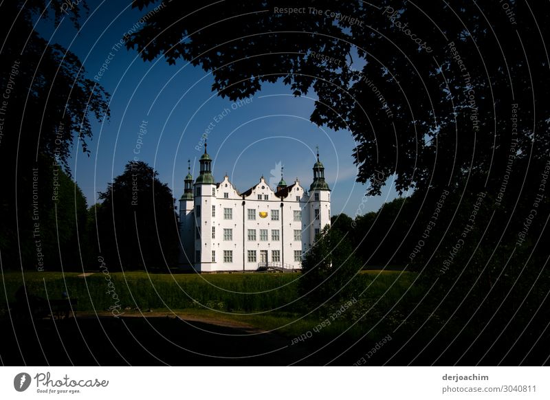 Nice living in the castle. A white castle in the background illuminated by the sun With towers and in the foreground framed by branches. Design Trip Dream house