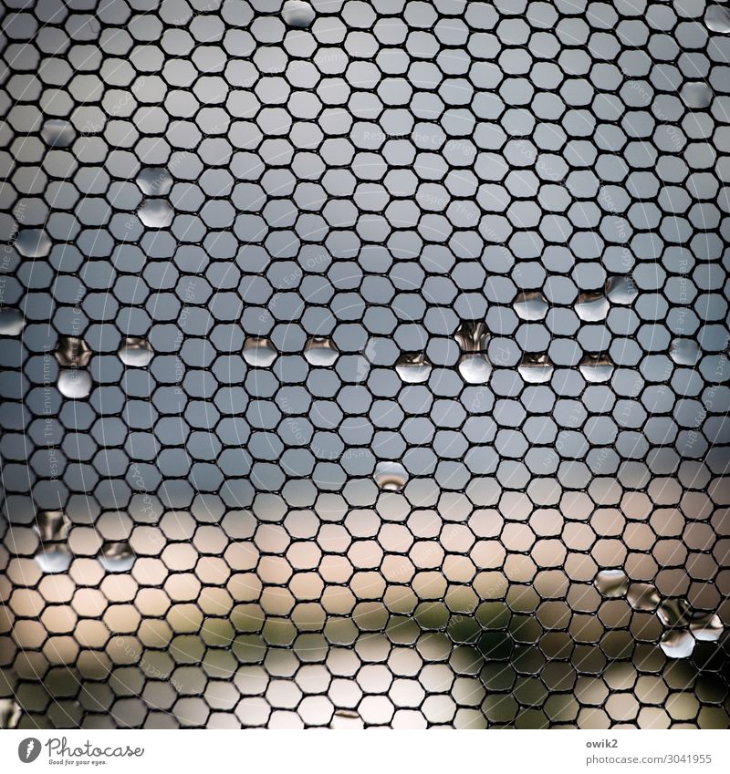 Water in honeycombs Drops of water Gauze Fly screen Plastic Hang Small Near Wet hexagons Colour photo Interior shot Abstract Pattern Structures and shapes